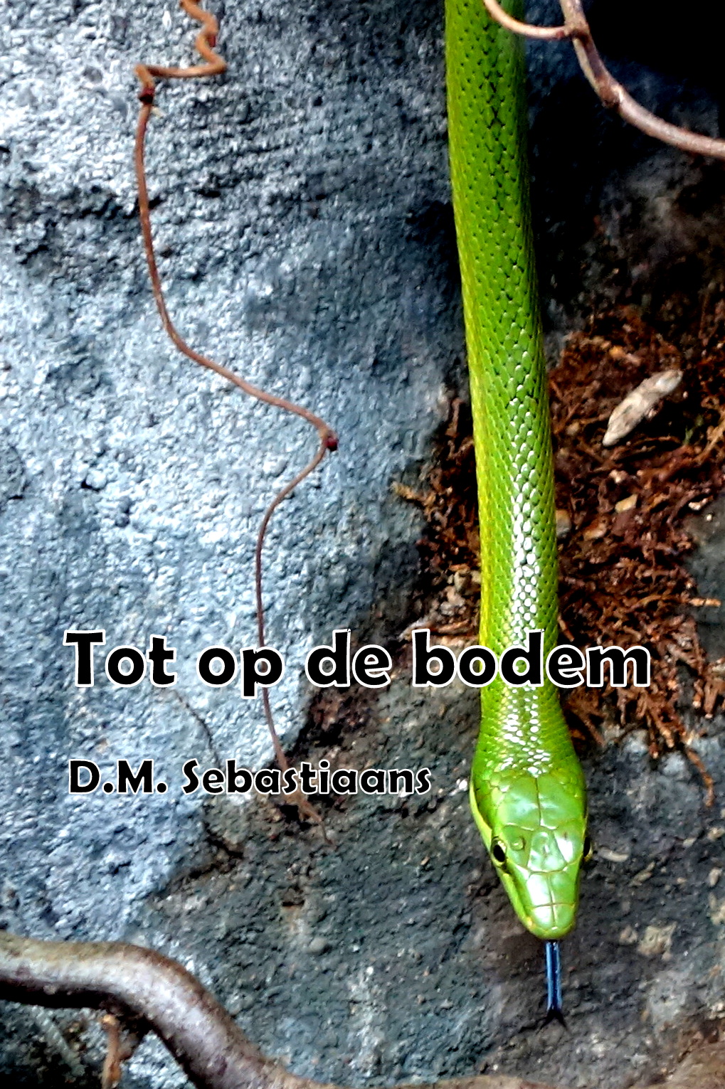 Omslag Tot op de bodem